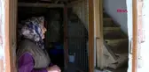 Spor çoban zeynep, güreşte dünya şampiyonu