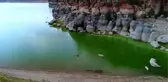 Çin'in han koyunları 