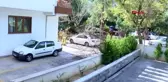 Kadıköy'de ağaç aracın üzerine devrildi