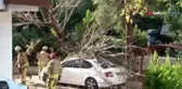Kadıköy'de facianın eşiğinden dönüldü...Site içerindeki ağaç otomobilin üzerine devrildi