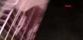 100'den fazla köpeğini aç ve susuz bırakan kadına hapis