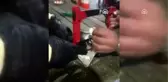 Boruya sıkışan yavru kediyi itfaiye ekipleri kurtardı