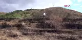 Erzincan erzincanlı prof. orman yangınlarına ilginç bir eylemle dikkat çekti