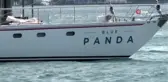 Plastik kirliliğine karşı yola çıkan Blue Panda İstanbul'da