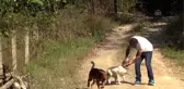 Hayalindeki yaşamı köyünde buldu