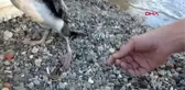 Karabatağı, ayağındaki olta ve misinadan kurtardılar