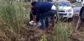 Kuyuya düşen koyun kurtarıldı