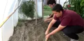 Meslek lisesi öğrencileri okul bahçelerine akıllı sera kurdu