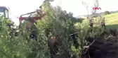 Traktörün altında kalan suriyeli hilef, ağır yaralandı
