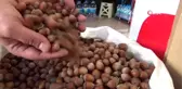 Tüccara kızdı, fındığını markette satmaya başladı