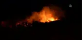 Bodrum'da makilik alanda yangın (2)