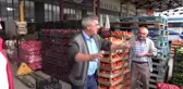 Tokat'ta domates 20 kuruşa düştü
