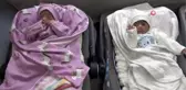 Çocuk özlemi çeken çiftin aşılama yöntemiyle 4'üz bebekleri oldu