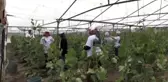 Ev kadınları belediye projeleriyle aile ekonomilerini güçlendiriyor