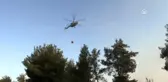 Orman yangını (2)