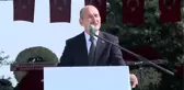 Soylu: 