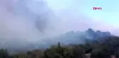 Bilecik'te orman yangını