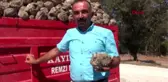 Burdur şeker fabrikası'nda kampanya dönemi başladı