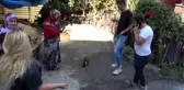 Karabük ayakları kesilmiş olan kedi vatandaşların tepkisine yol açtı