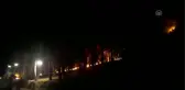 Adana'daki orman yangını