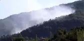 Osmaniye'de orman yangını
