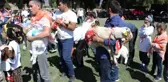 Antalya elmalı'da renkli çoban festivali