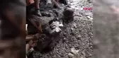 Yan tarafta yapılan inşaattan salonlarına dolan betonla şok yaşadılar