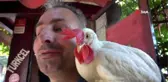Dedektif gibi iz sürdü, kaybolan horozunu buldu