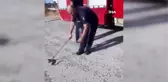 İtfaiye eri yılanın başına demir çubukla vurdu, vatandaş 'kürekle vur' deyip yol gösterdi
