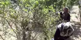 Kuşburnu Mesudiye'nin yeni geçim kaynağı