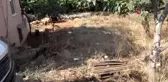 Alanya'da eş cinayeti...Babasının evinde kalan eşini dışarıyı çıkararak 14 yerinden bıçakladı