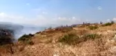 Makilik alanda yangın