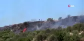 Kırsal alanda çıkan yangın Asi Nehri'nden alınan suyla yangını söndürüldü