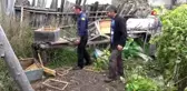 Kastamonulu köylüleri ayı korkusu sardı