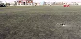 Mardin kaleci, sahadaki çukurları battaniyeyle kapattı