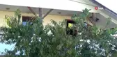 Balkondan düşen genç kız yaralandı