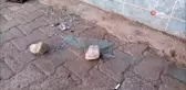 Eski muhtarın iş yerine taşlı saldırı