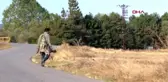 Bolu öldürmeyi bıraktı, ölümsüz kareler yakaladı