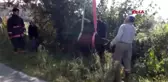 Düzce sulama kanalına düşen ineği itfaiye kurtardı
