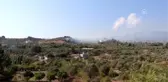 Hatay'da orman yangını
