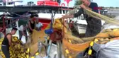 Ordu karadenizli balıkçılar deniz salyangozuna yöneldi