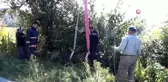 Otları gören inek kanalı geçemedi