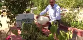 Acılı ailelerin matemi dinmiyor