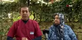 Alzheimer tedavisinde yeşil ışık