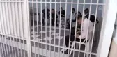 Kapalı cezaevinin 