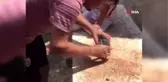 Gaziden insanlık dersi: Yaralı güvercini hayata döndürebilmek için dakikalarca kalp masajı ve suni...