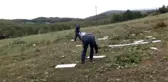 Hortum ev ve ağaçlara zarar verdi