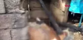 Kahramanmaraş ahırda yangın çıktı, 17 büyükbaş öldü