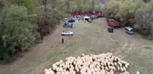 Koç katımı töreni renkli görüntülere sahne oldu - SİVAS