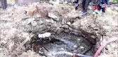 Burdur foseptiğe düşen inek ve kaplumbağa kurtarıldı